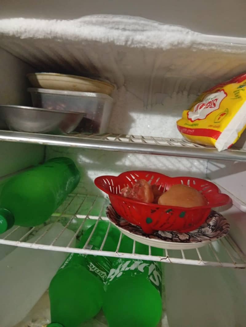 Fridge 1