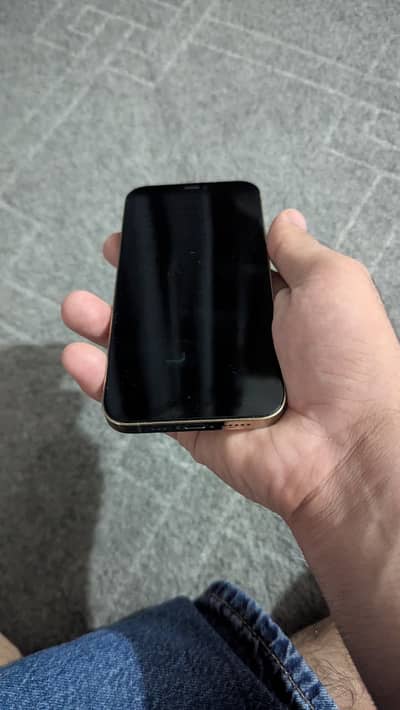 Apple iPhone 12 Pro