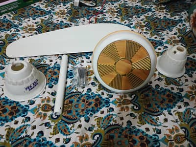 Pak Asia Fan only AC