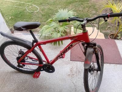 phoenix cycle 2024 model