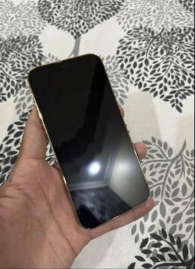 Apple iPhone 12 Pro