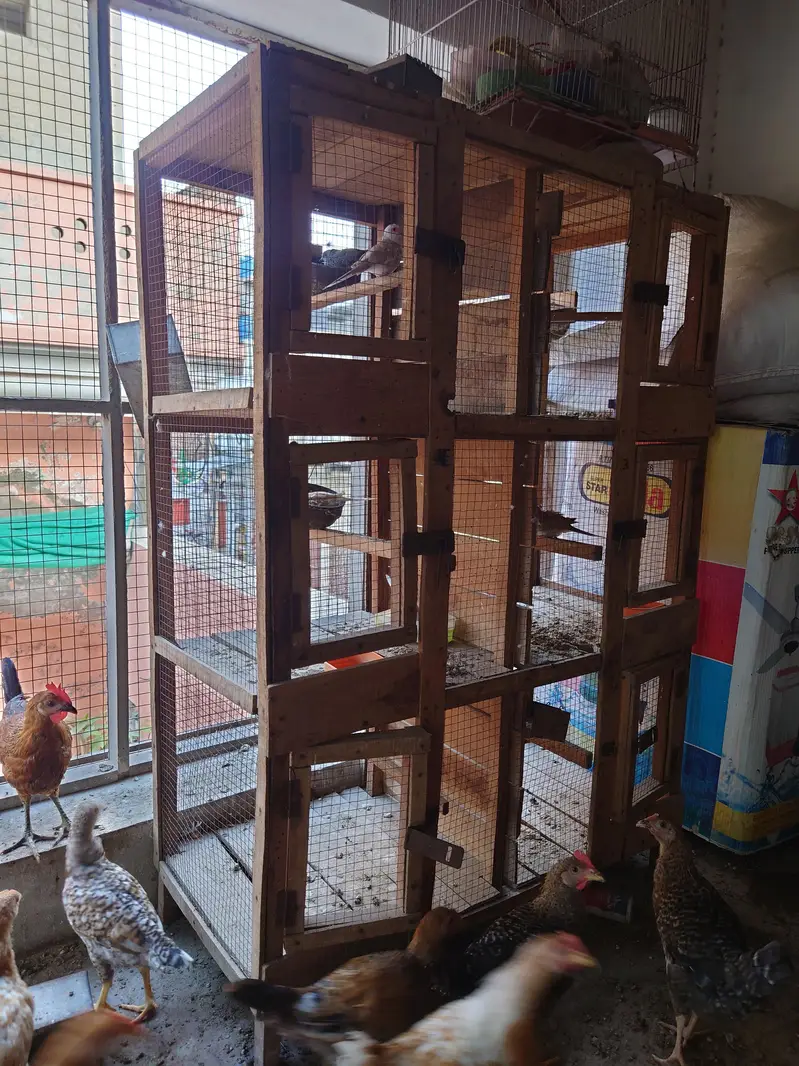 wooden cage — photo 2