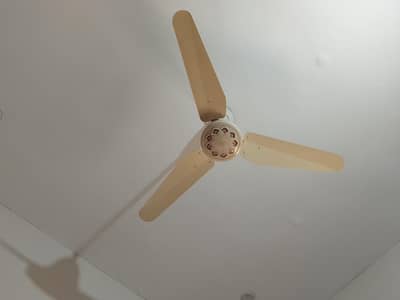 fast fan