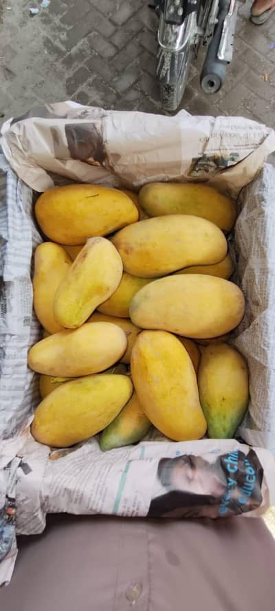Mangoes
