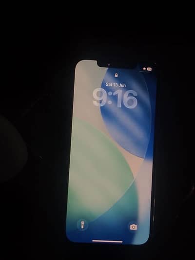 Apple iPhone 12 Pro Max