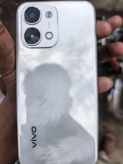 vivo31d