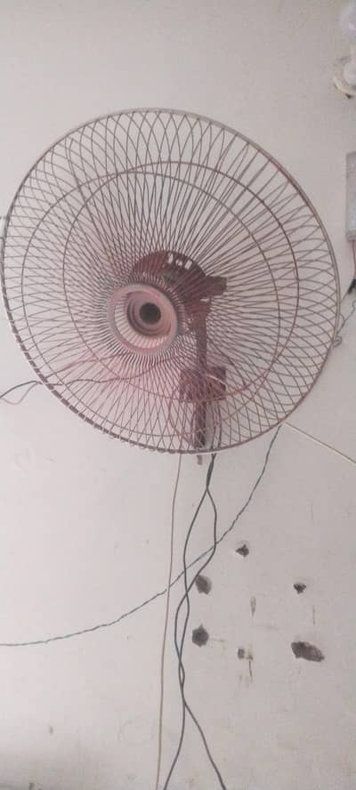 betry fan