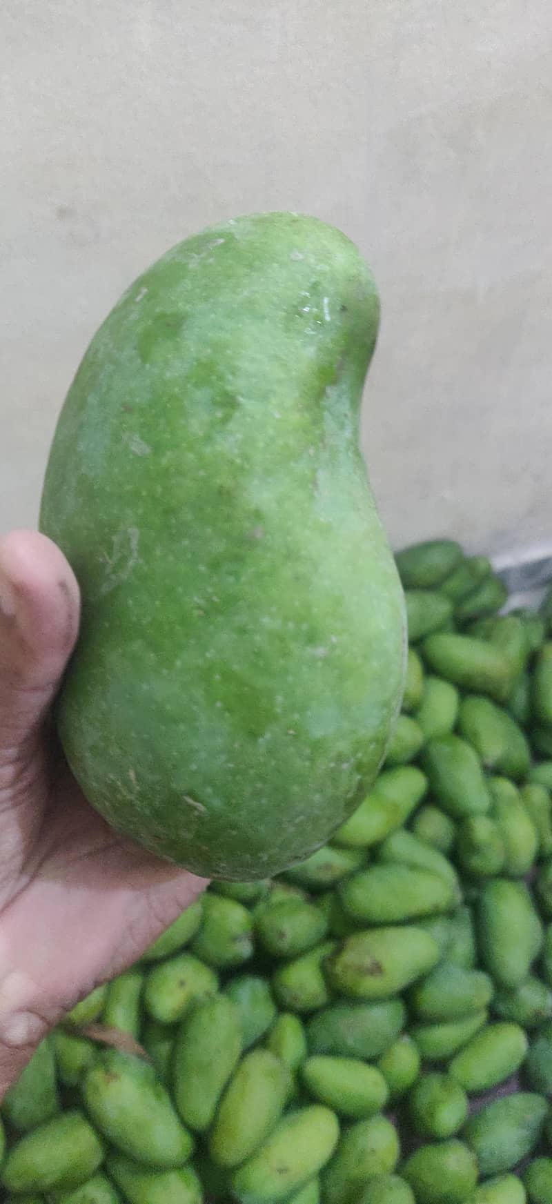 multani sindri 4