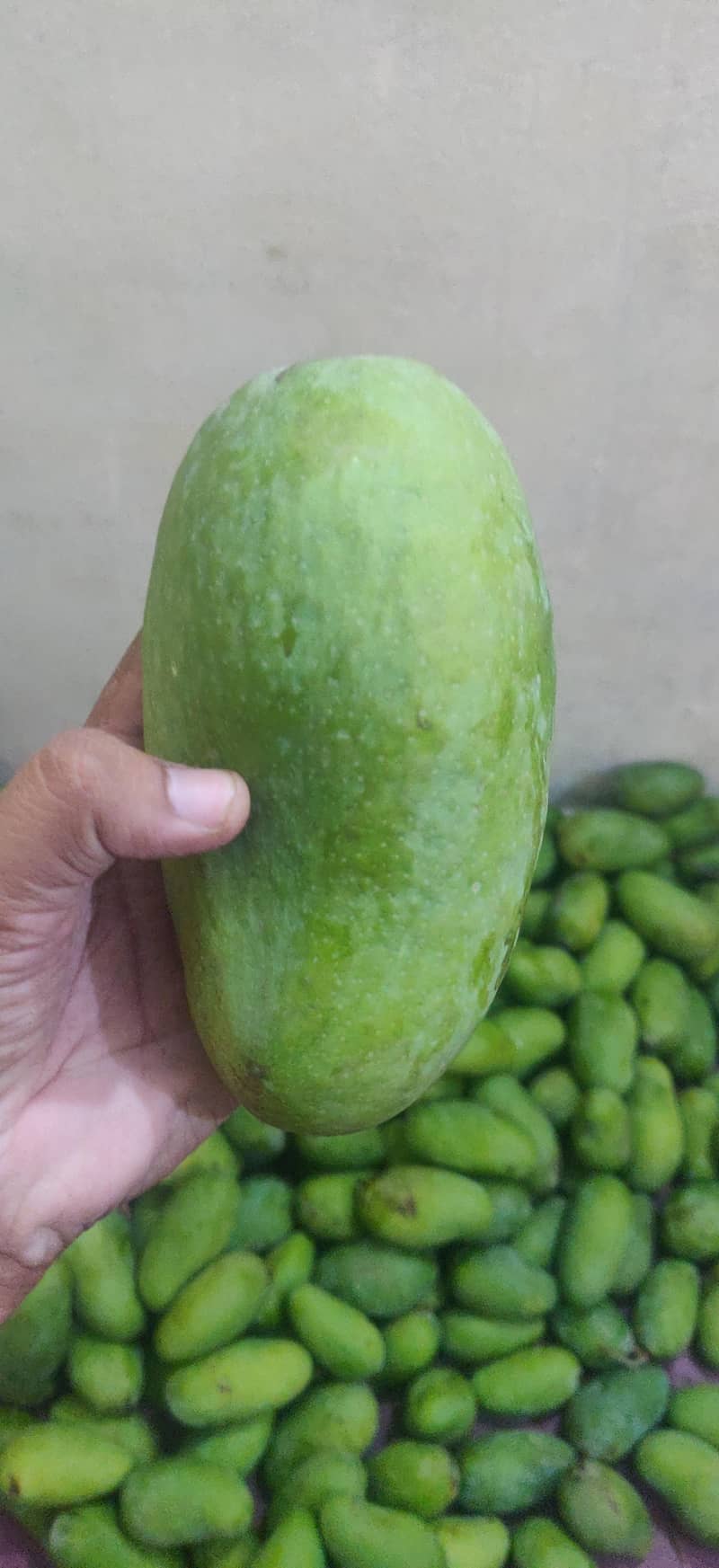 multani sindri 5
