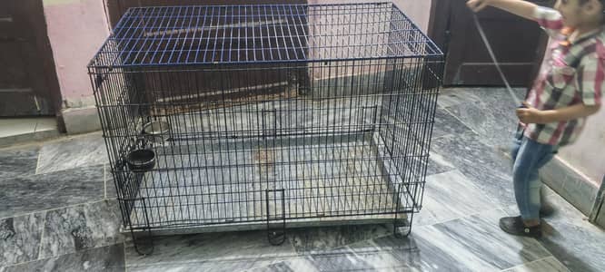 Cage for Parrots, Hens and Birds