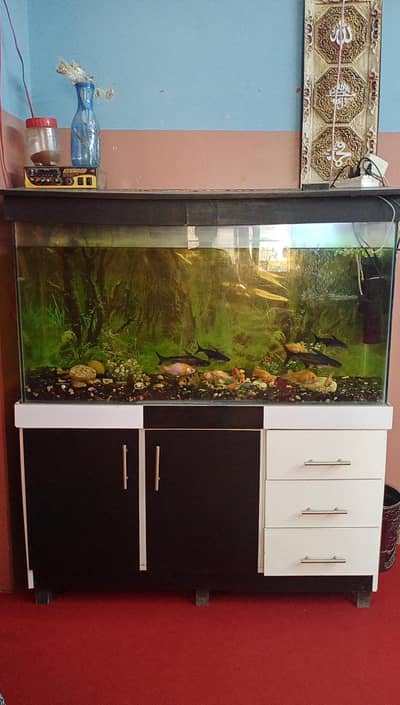aquarium