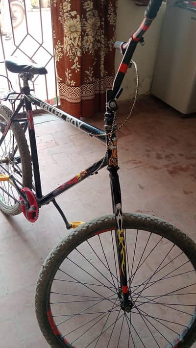wheeling bicycle 