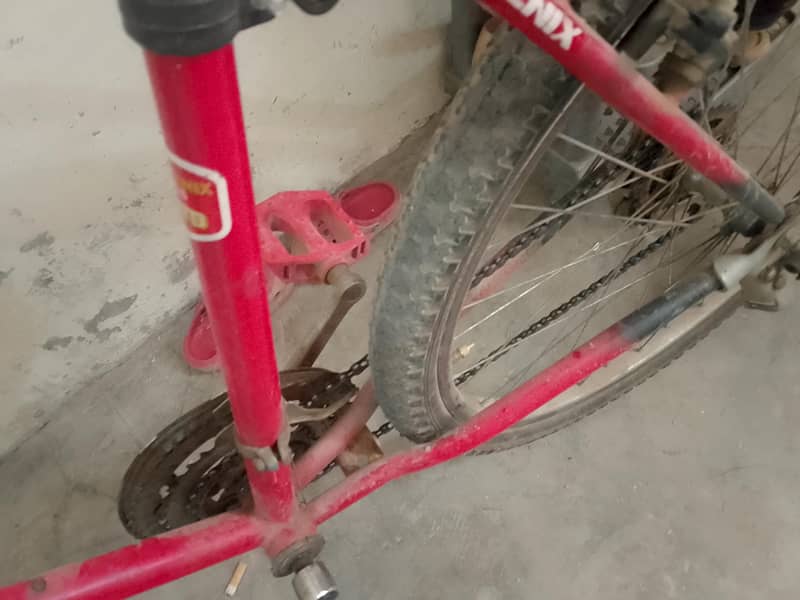 cycle phonics 1