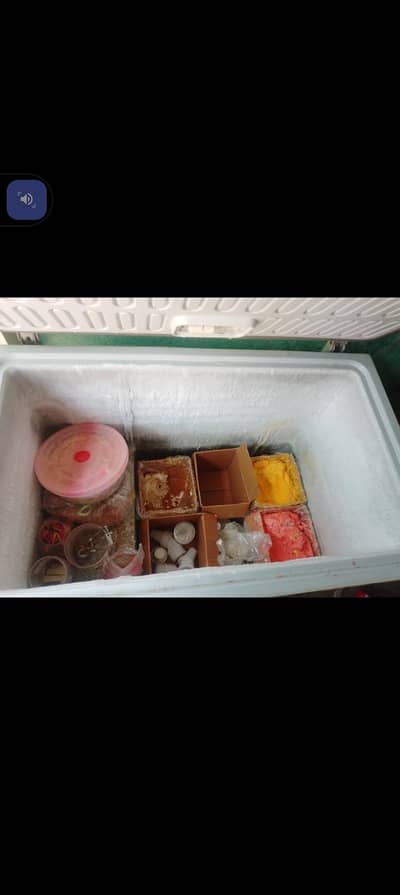 haire deep freezer