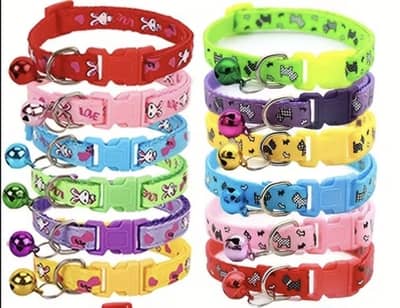 Cats accessories