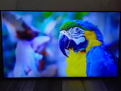 SAMSUNG 50"INCH LED TV ORIGINAL
