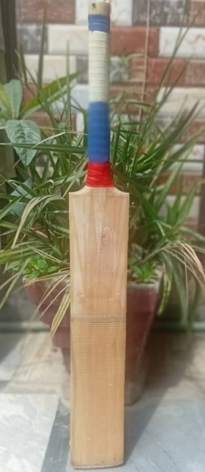 kookuburra Hard ball original bat with pad pair 03219688119