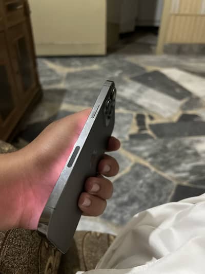 Apple iPhone 13 Pro Max. 03024378009