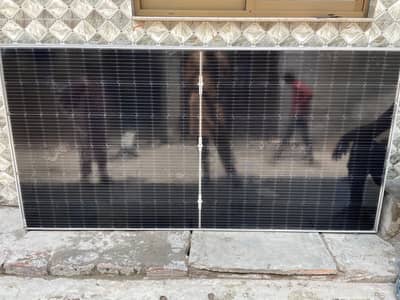 Longi Solar Panel