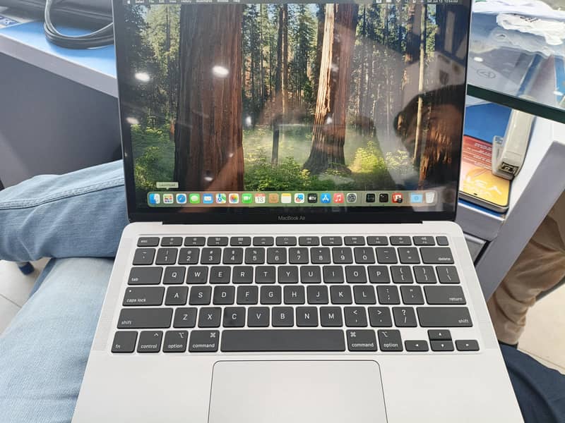 apple 2
