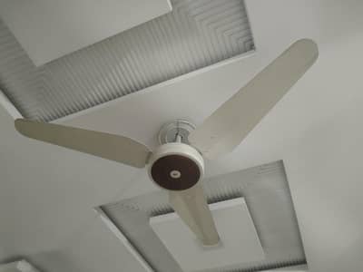 sk fan
