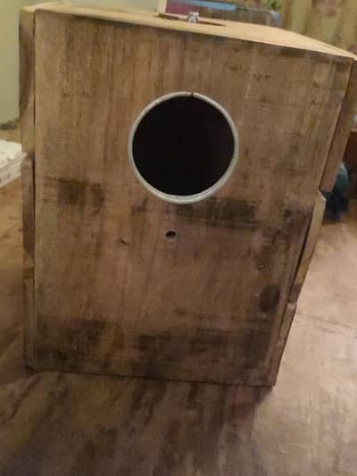 raw Kashmiri pahadi breeding box