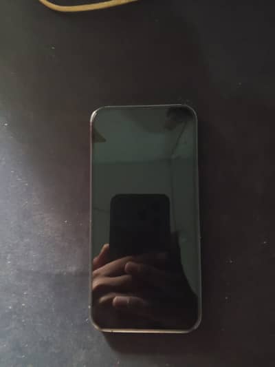 Apple iPhone 13 Pro