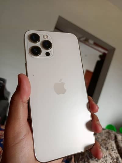 Apple iPhone 12 Pro Max