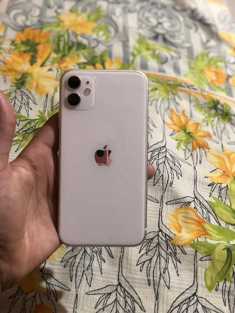 Apple iPhone 11 0