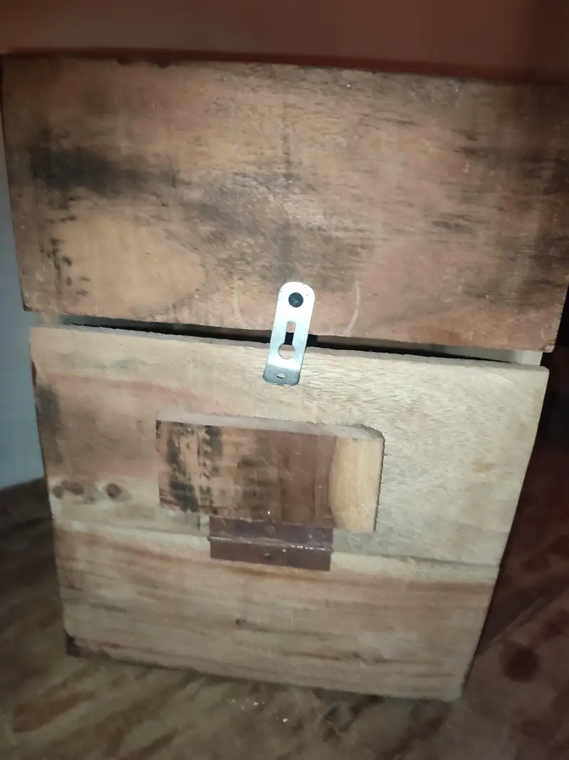 raw Kashmiri pahadi breeding box — photo 3