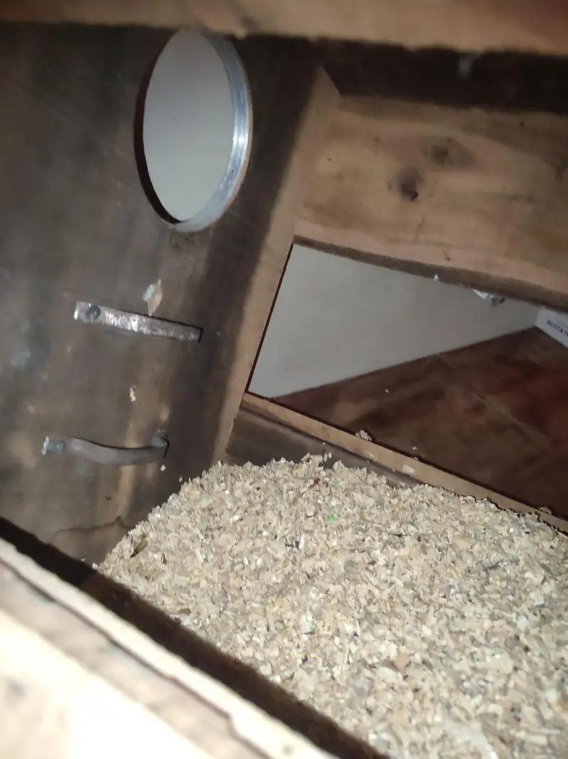 raw Kashmiri pahadi breeding box — photo 4