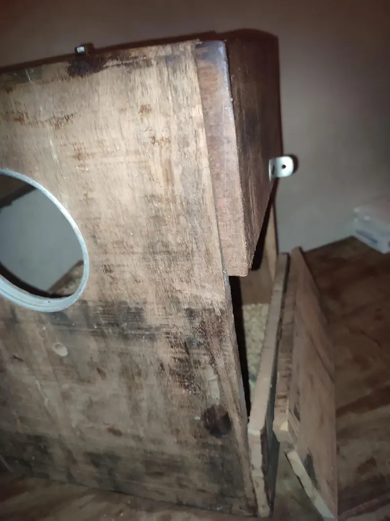 raw Kashmiri pahadi breeding box — photo 5