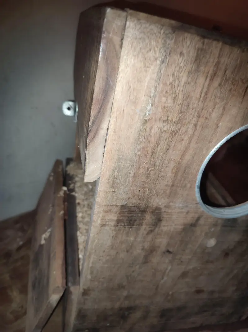 raw Kashmiri pahadi breeding box — photo 6