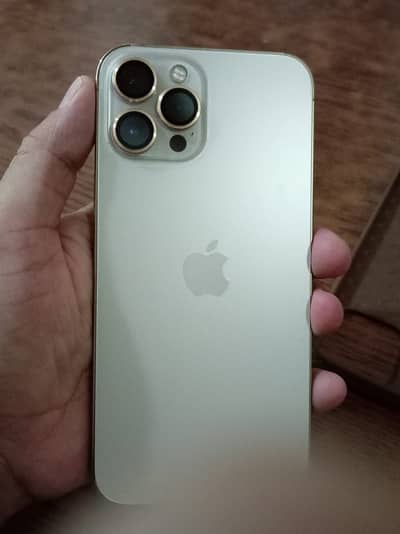 Apple iPhone 12 Pro Max