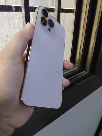 Apple iPhone 13 Pro Max