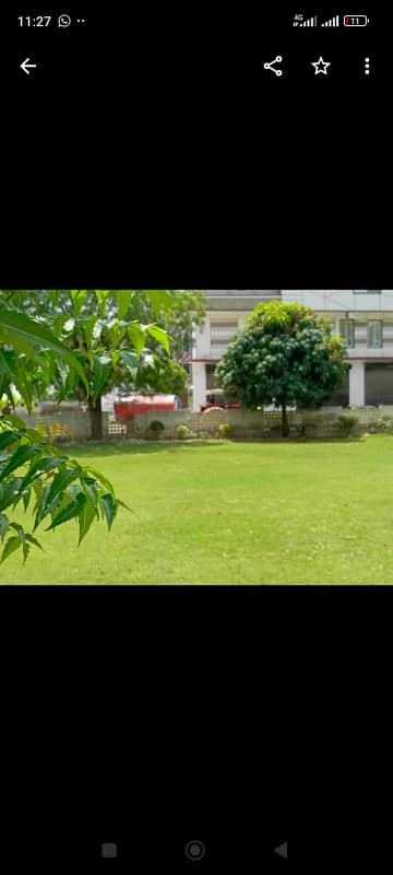 SAADI GARDEN