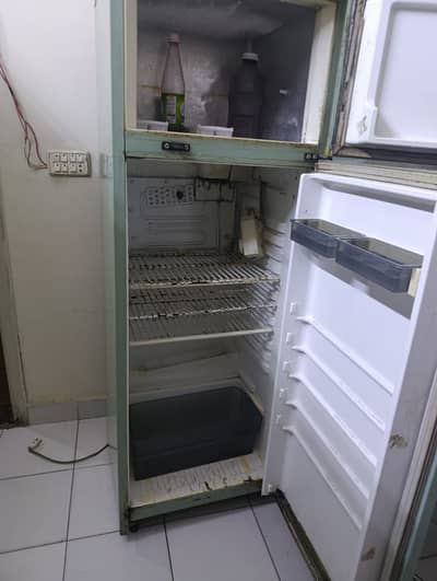 Fridge dawlance