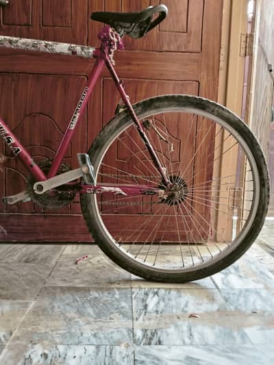 cycle