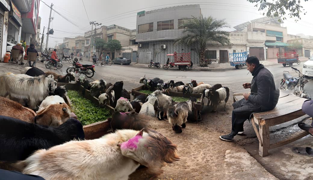 صدقے اور حقیقے کے پکڑے 7