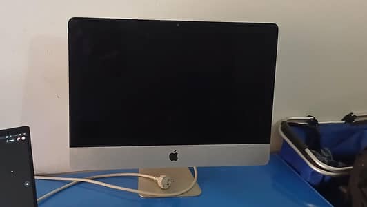 IMAC 10.13