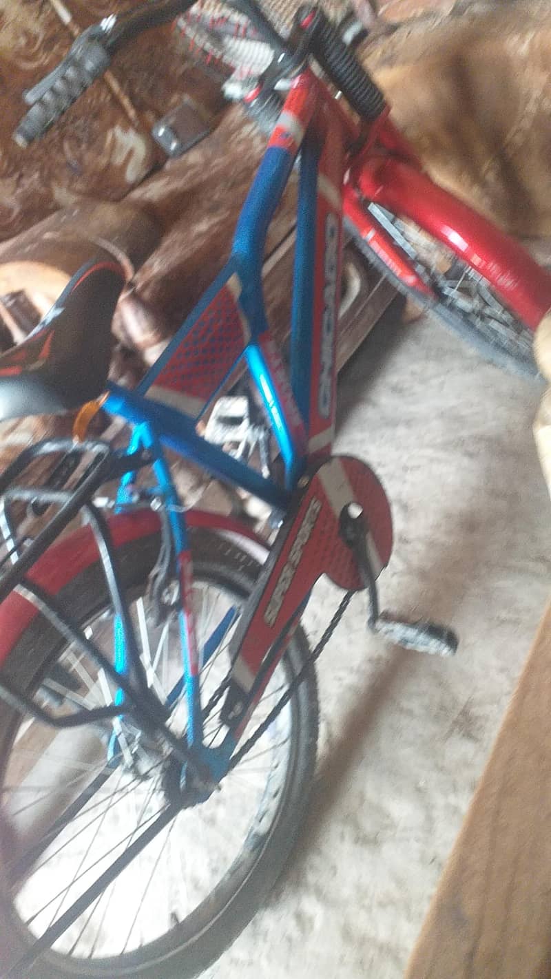 chicago cycle 1