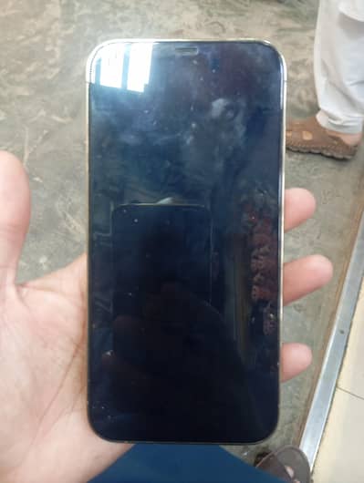 Apple iPhone 12 Pro Max