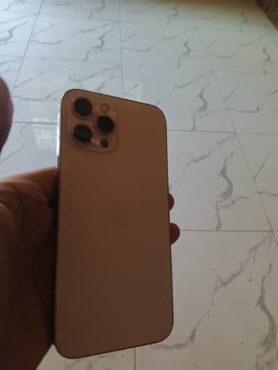 Apple iPhone 12 Pro Max