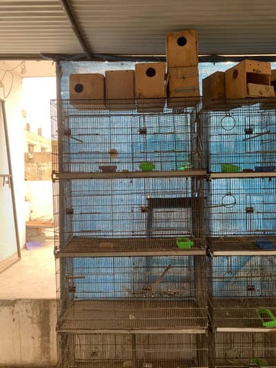 cage for birds good quality cage and heavy quality