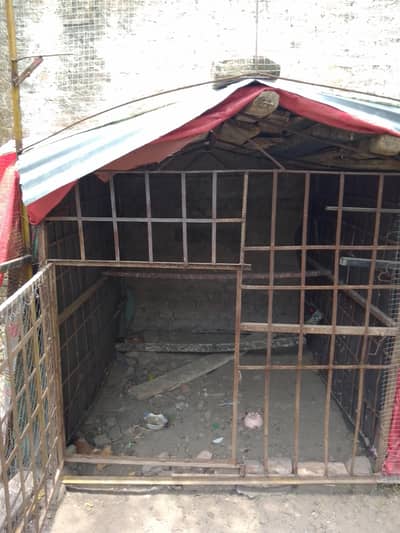 cage for saleo3/7592o61o