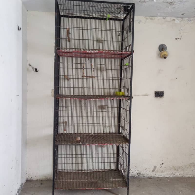 4 portion cage 1