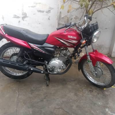 whtsup 03049292567