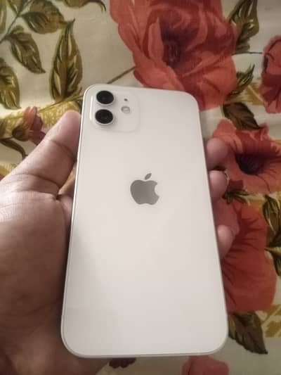 Apple iPhone 12