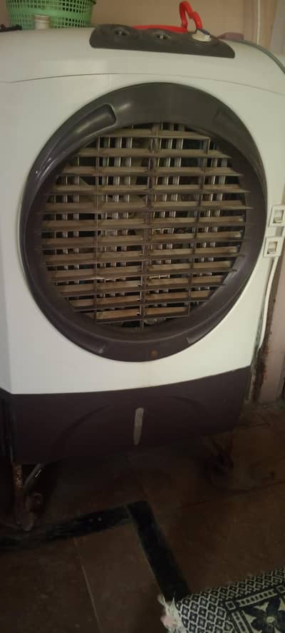 DC 12 Volt