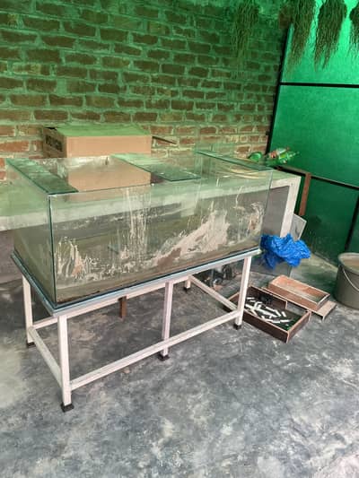 4 feet Aquarium 2 Feet Width 1.5 Feet Height with Strong Stand